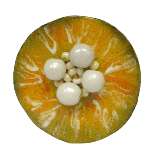 Žlutá smaltovaná květinová brož. Brož kruhového tvaru s lehce zvednutými okraji na ručně opracovaném nerezovém plíšku. Smaltovaná číst je odstínech bílé, žluté a oranžové barvy. Korálky ve středu mají perleťovou barvu. Zespodu je podlepená plstí žluté barvy. Špendlík zlaté barvy je připevněný pomocí plastu.